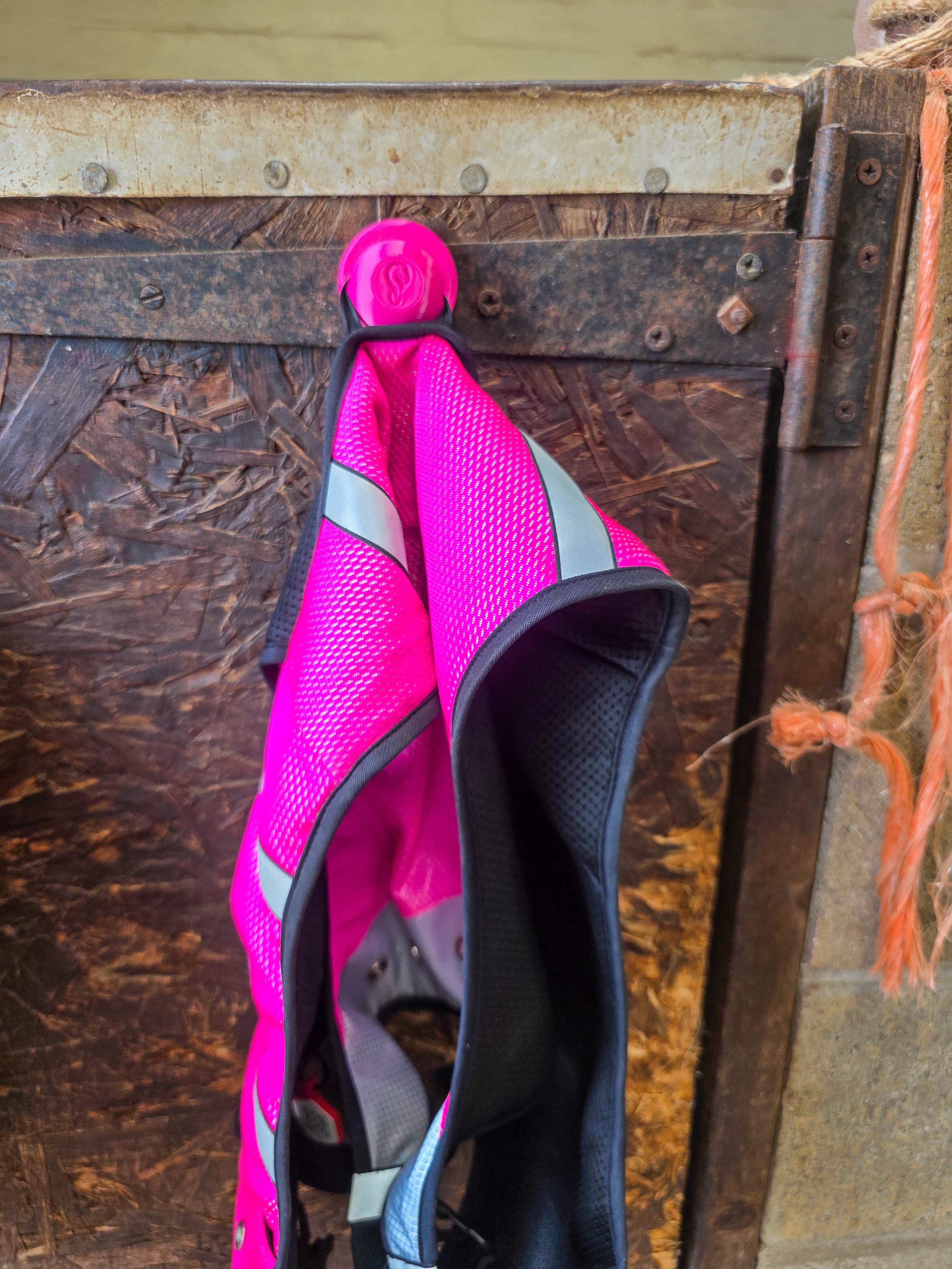 StablePin Mini magnetic hook mounted on a stable door holding a pink exercise sheet