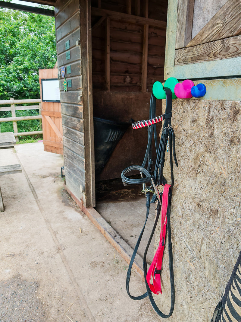 StablePin green, pink and blue magnetic hooks mounted outside a tack room holding a bridle and lead rope